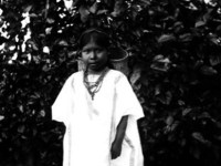 A brief history of coffee cultivation in Mexico (until&nbsp;nowadays).